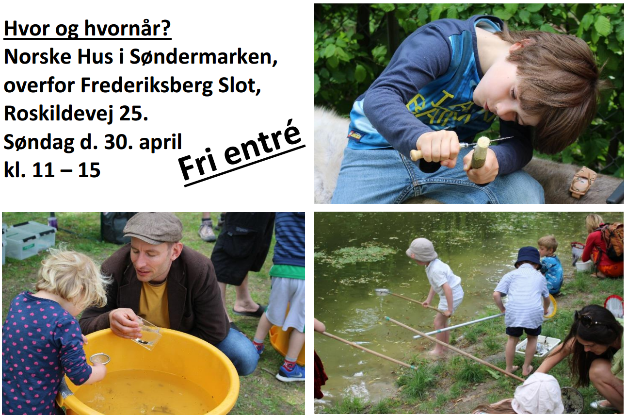 Naturdag i Søndermarken